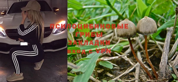 марки nbome Новозыбков