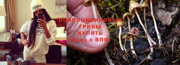 а пвп мука Новодвинск