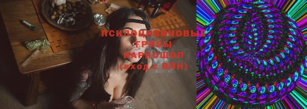 марки nbome Новозыбков
