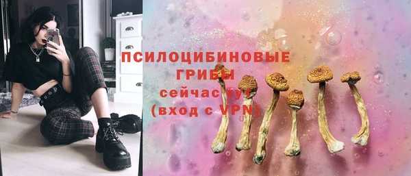 марки nbome Новозыбков