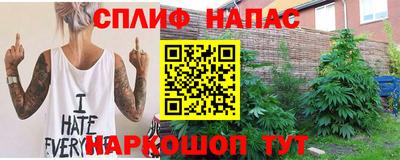 индика Абакан