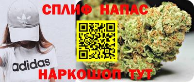 гидра Гагарин