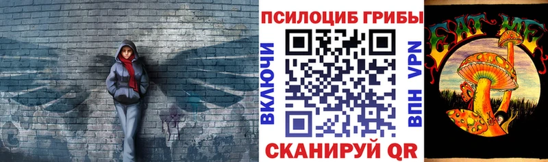 Псилоцибиновые грибы мицелий  где продают   Амурск 