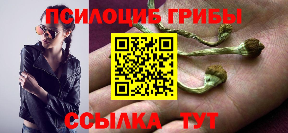 Галлюциногенные грибы мицелий  Вход с VPN  купить закладку  Амурск 