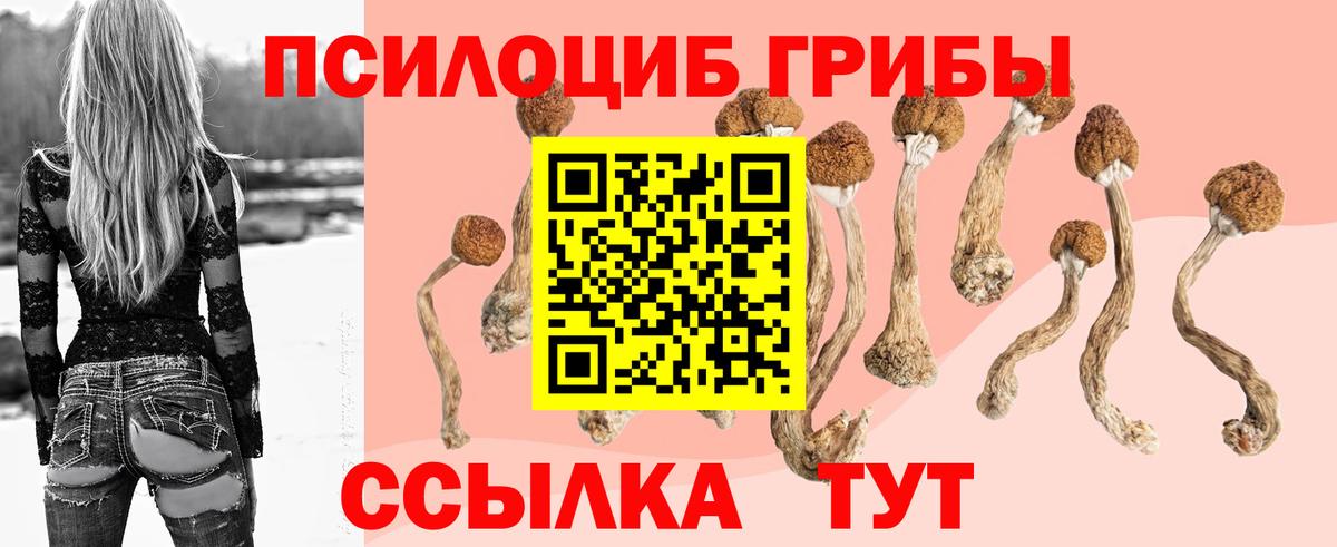 Псилоцибиновые грибы Psilocybine cubensis  Вход с VPN  Амурск  Псилоцибиновые грибы MAGIC MUSHROOMS 