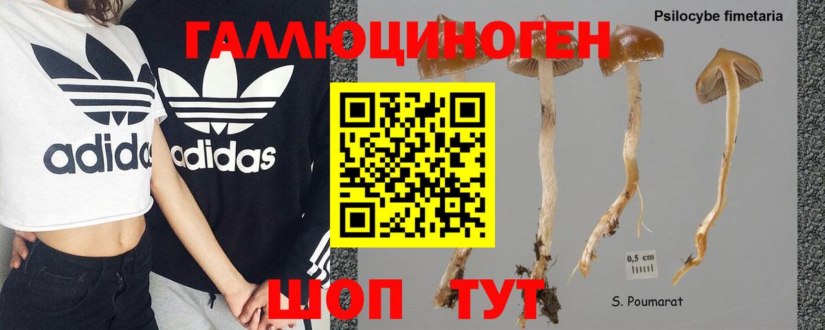 Галлюциногенные грибы мицелий Амурск