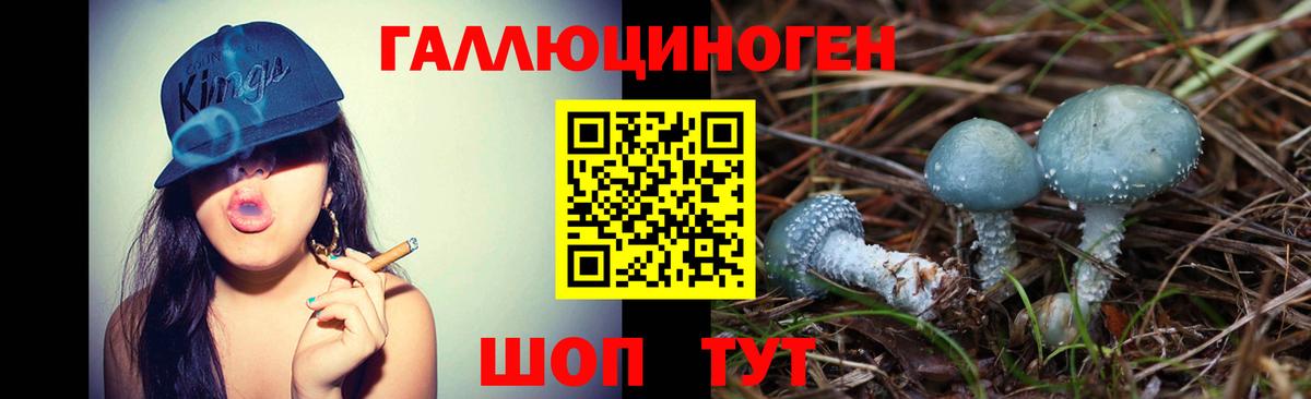 Псилоцибиновые грибы GOLDEN TEACHER Амурск